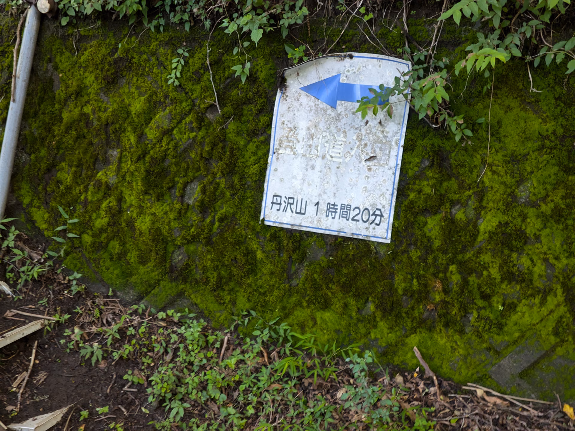 PXL_20260719_144047024.avif