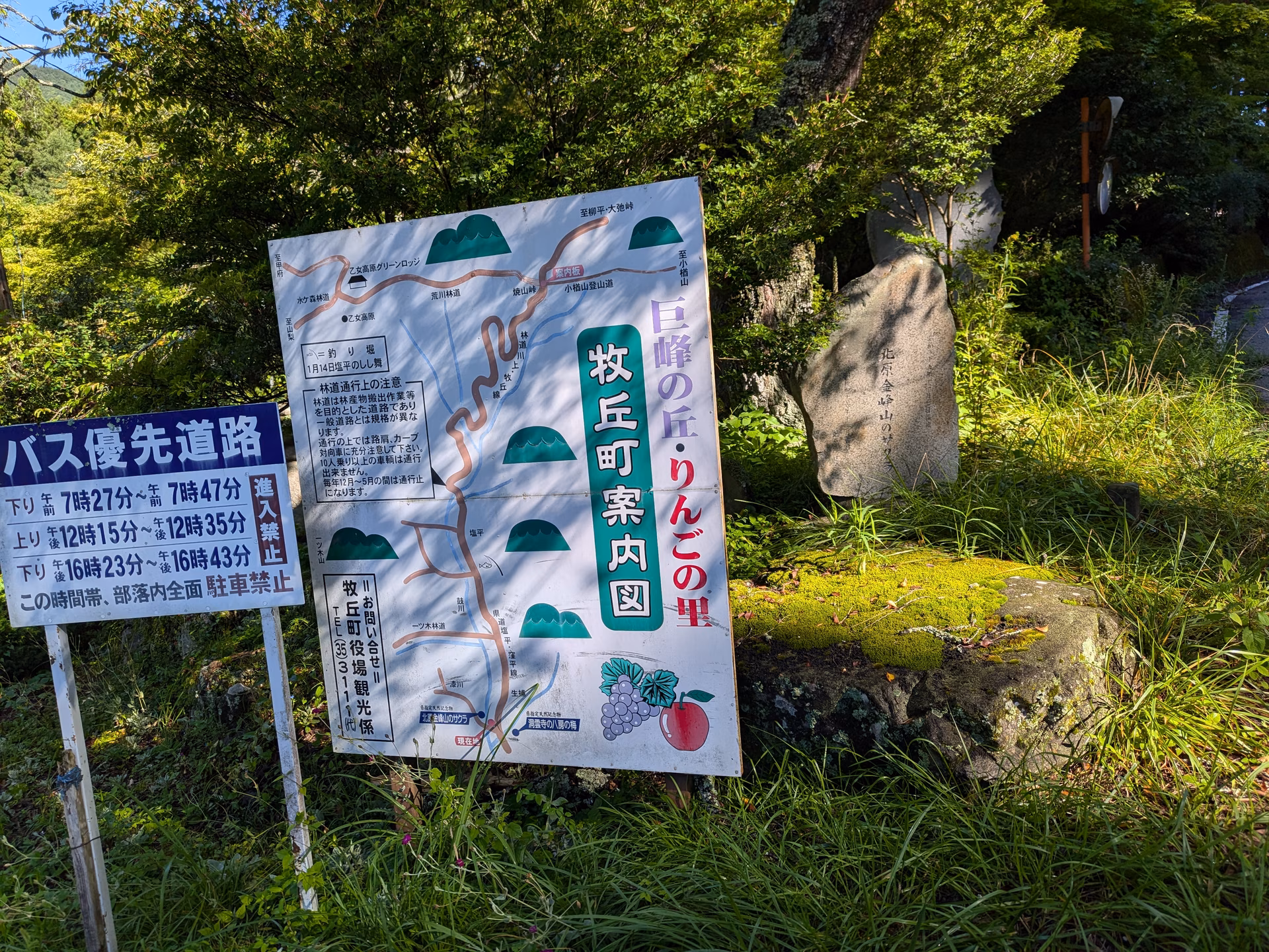 PXL_20260810_075015946.avif