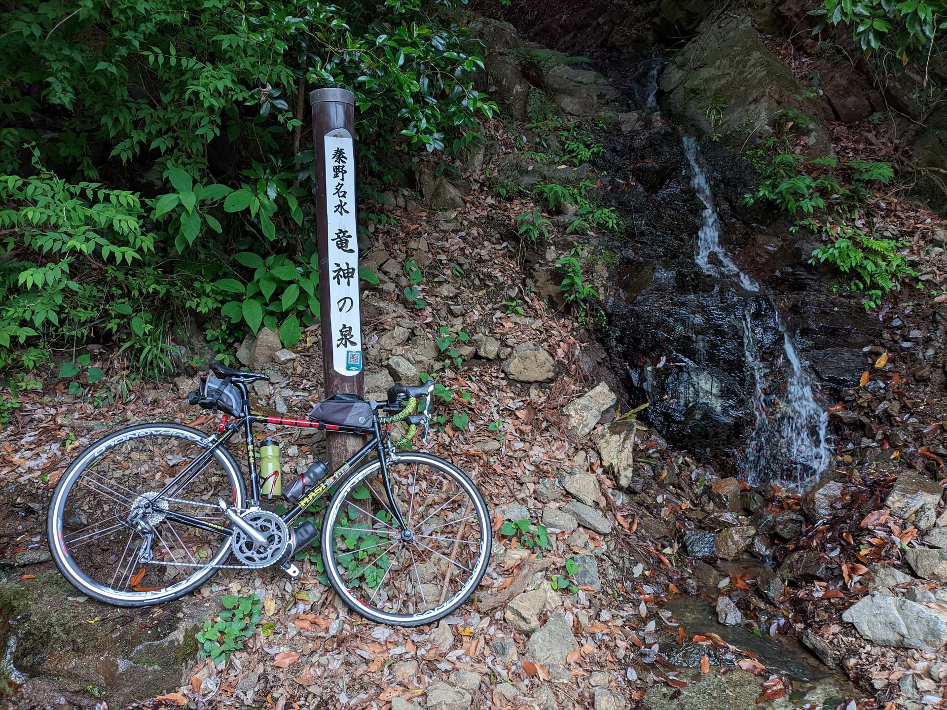 唐沢林道~菩提林道~表丹沢林道~戸川林道 でパンク