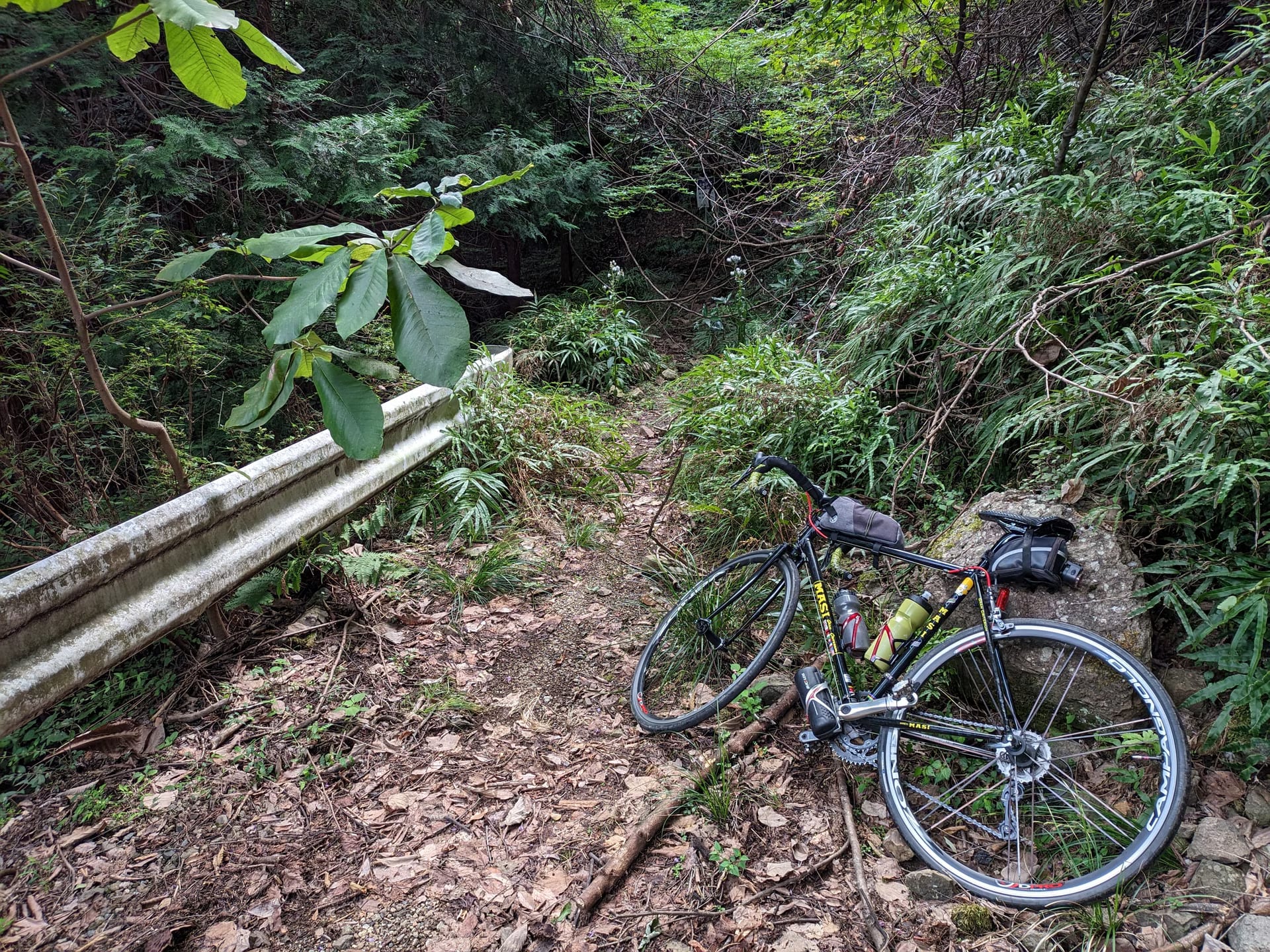 半原越のその先 & 東南林道で栗拾い (林道法華峰線)