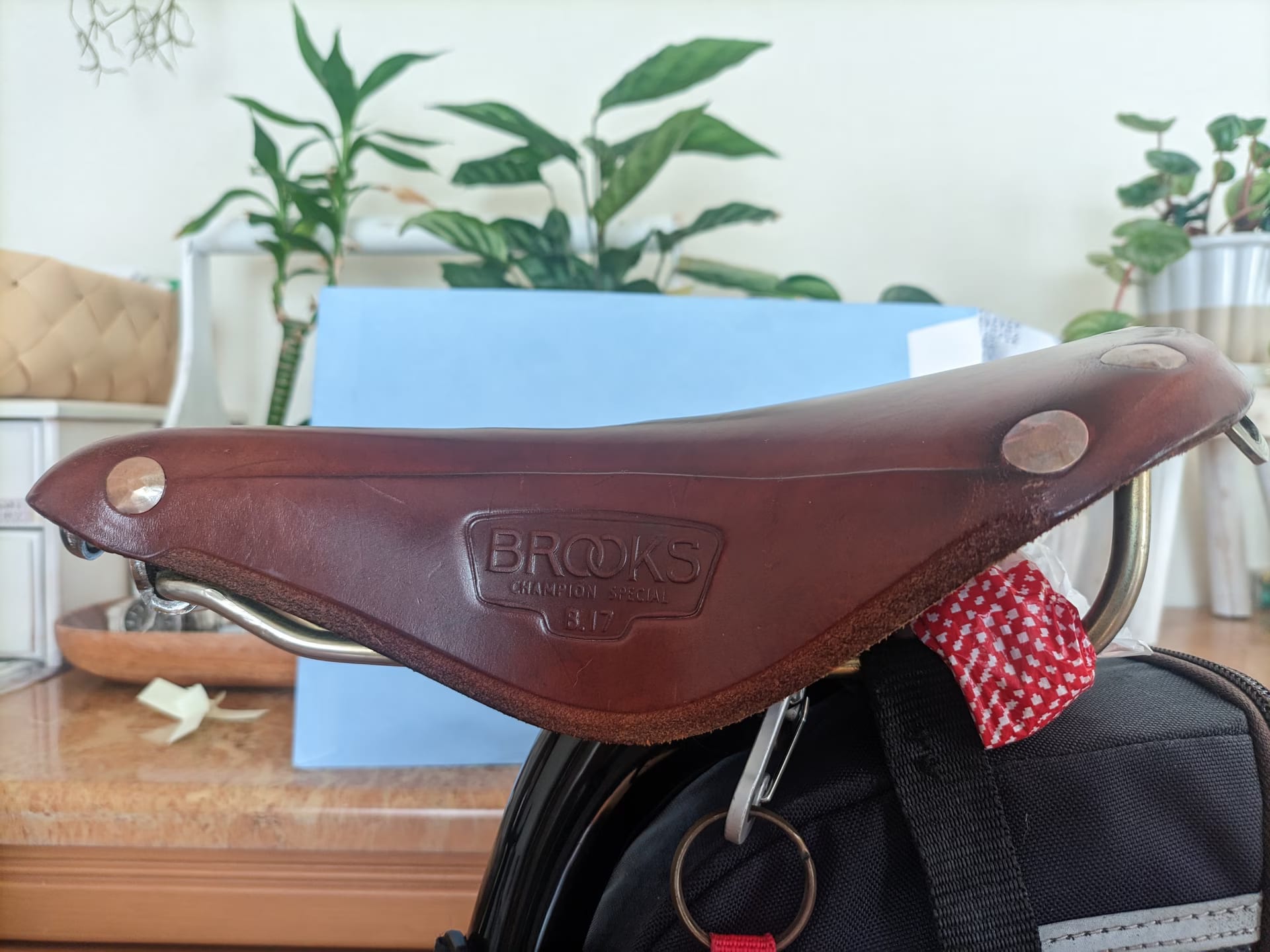 クロモリフレームには革サドル。Brooks B17 Special を中古で購入して調教