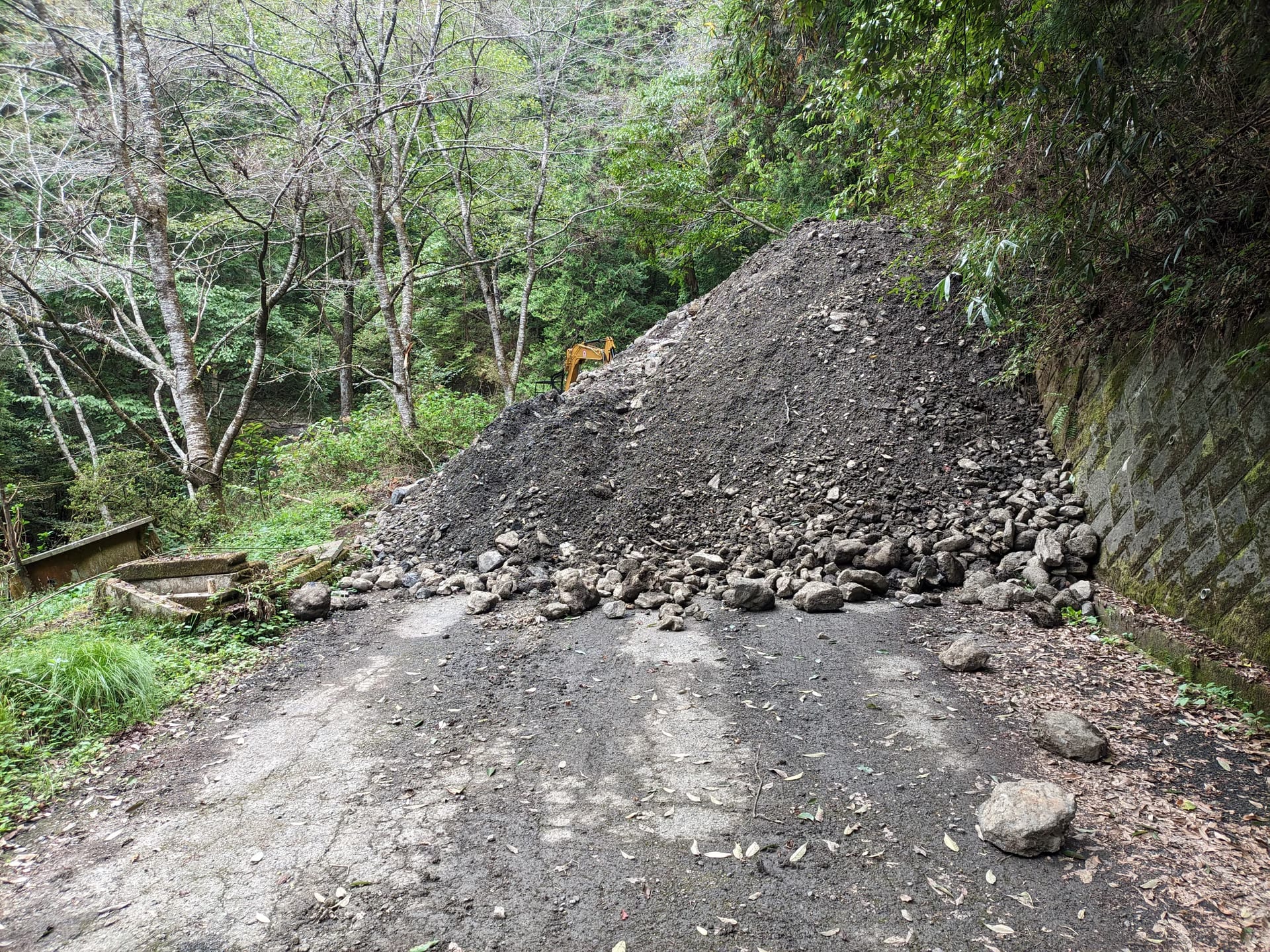林道栃谷坂沢線で革サドルを調教
