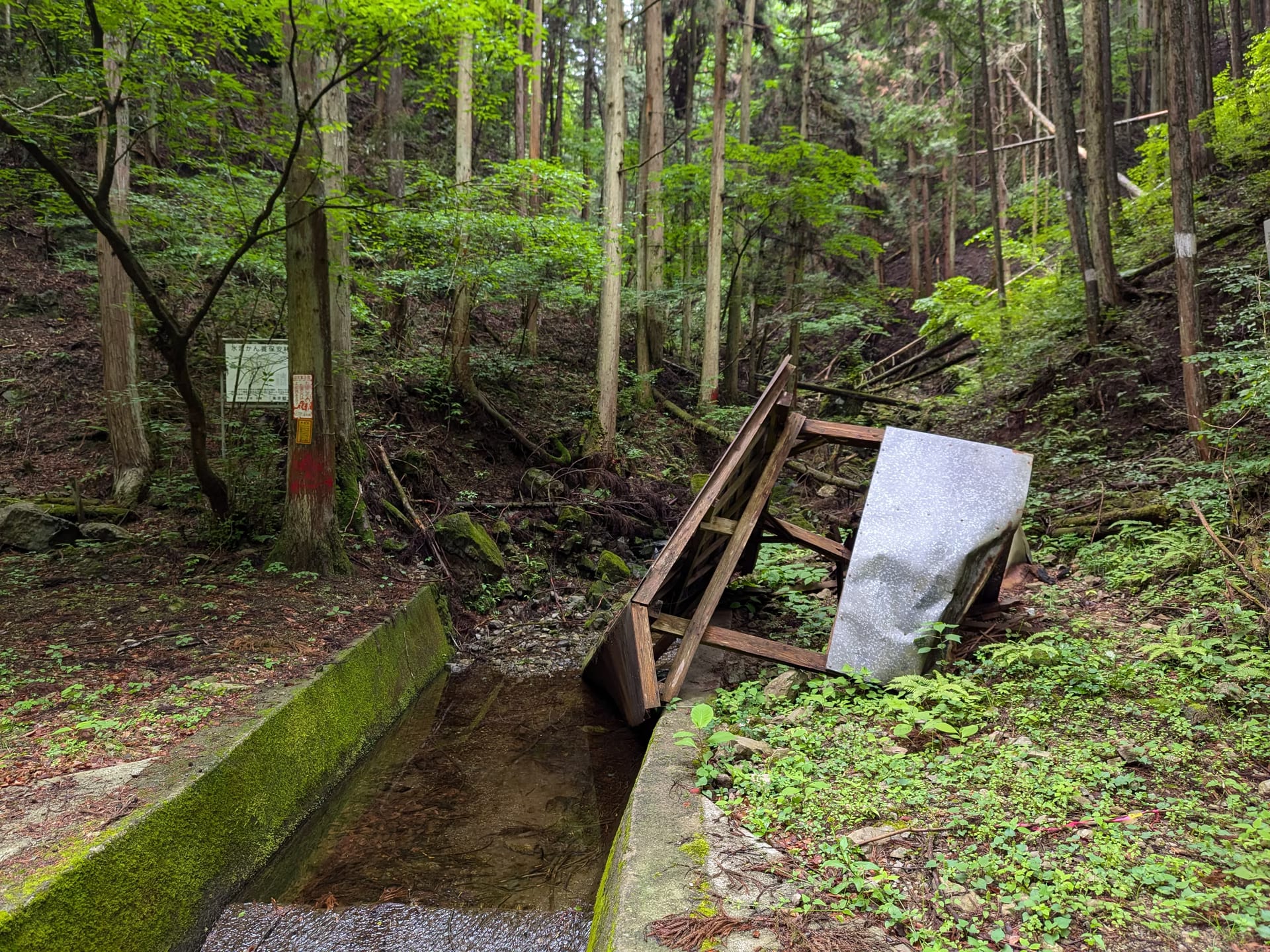 八王子近辺のどん詰まり林道ライド (小津林道, 大たな沢林道, 檜沢林道, 大沢林道, 西沢林道, 南土代沢林道, 北土代沢林道)