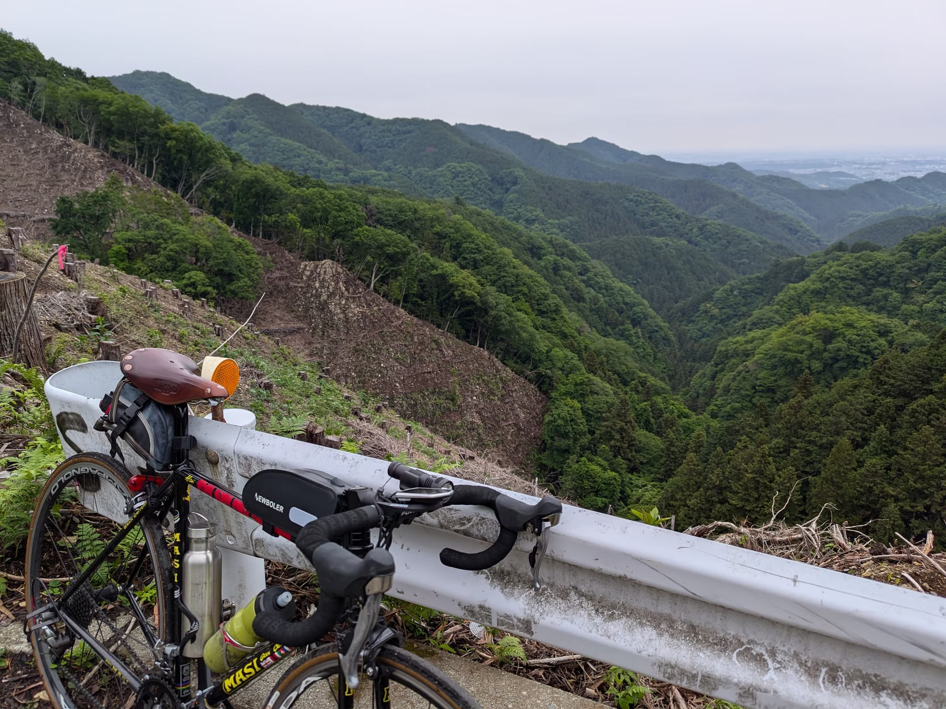 伐採作業中の林道盆堀線と、入山峠から伸びる盆堀間伐作業道を偵察