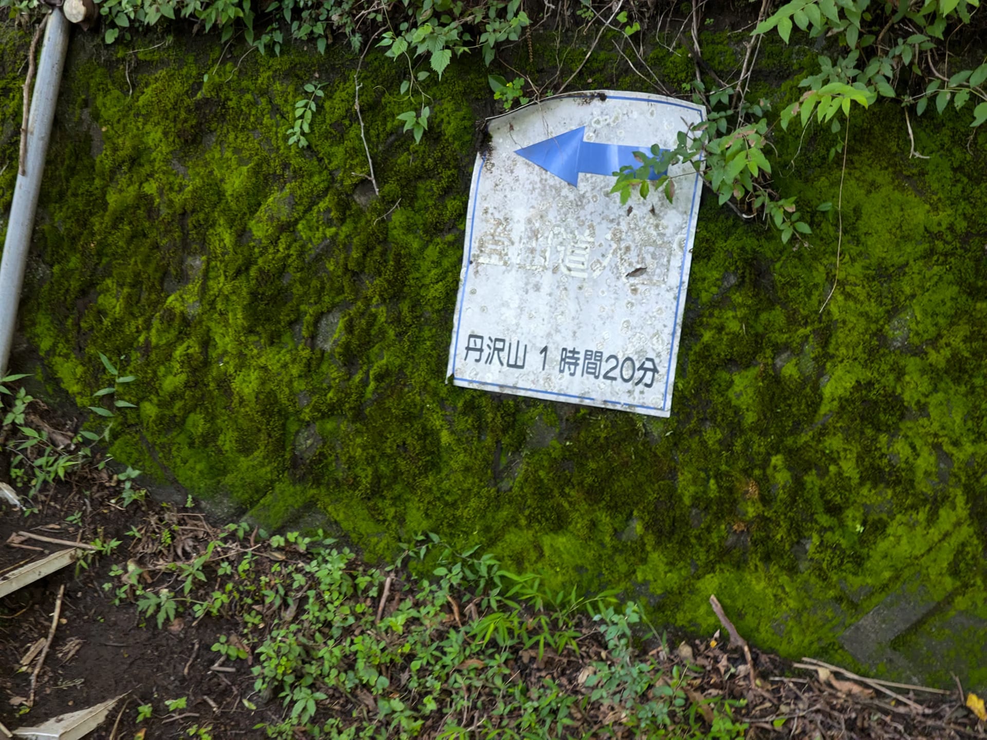 PXL_20260719_144047024.avif