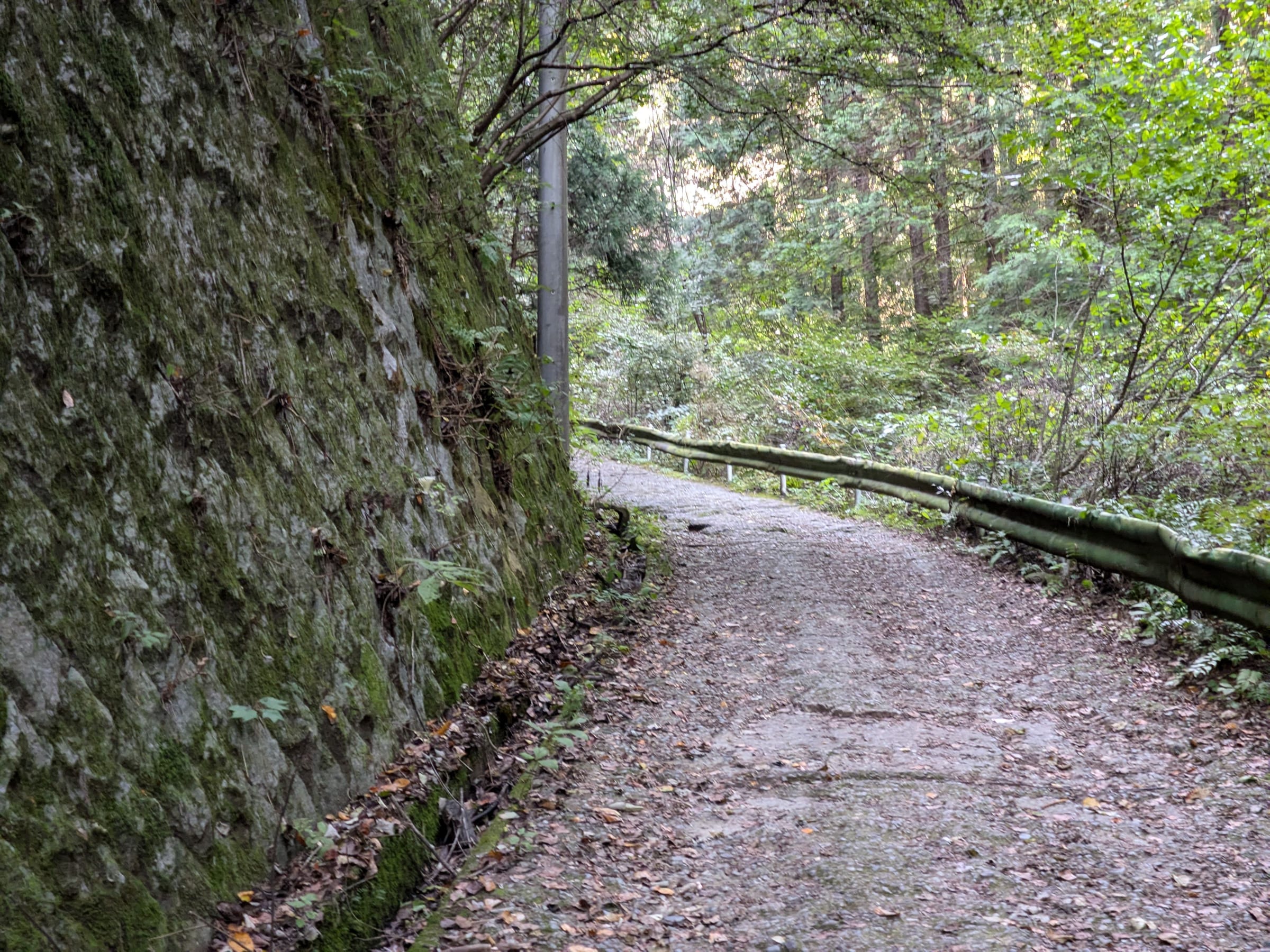 PXL_20261012_121712061.jpg