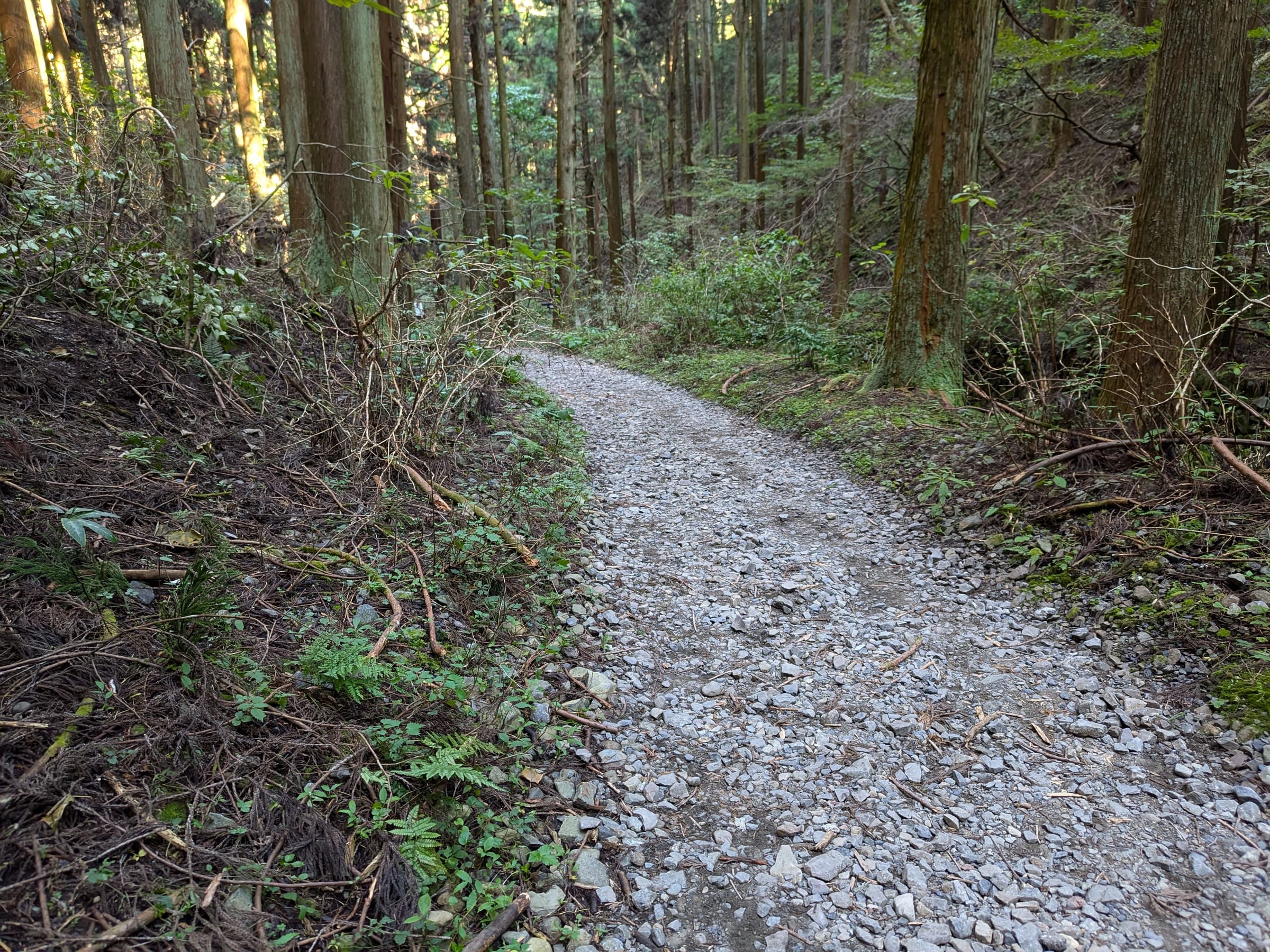 PXL_20261012_133031980.jpg