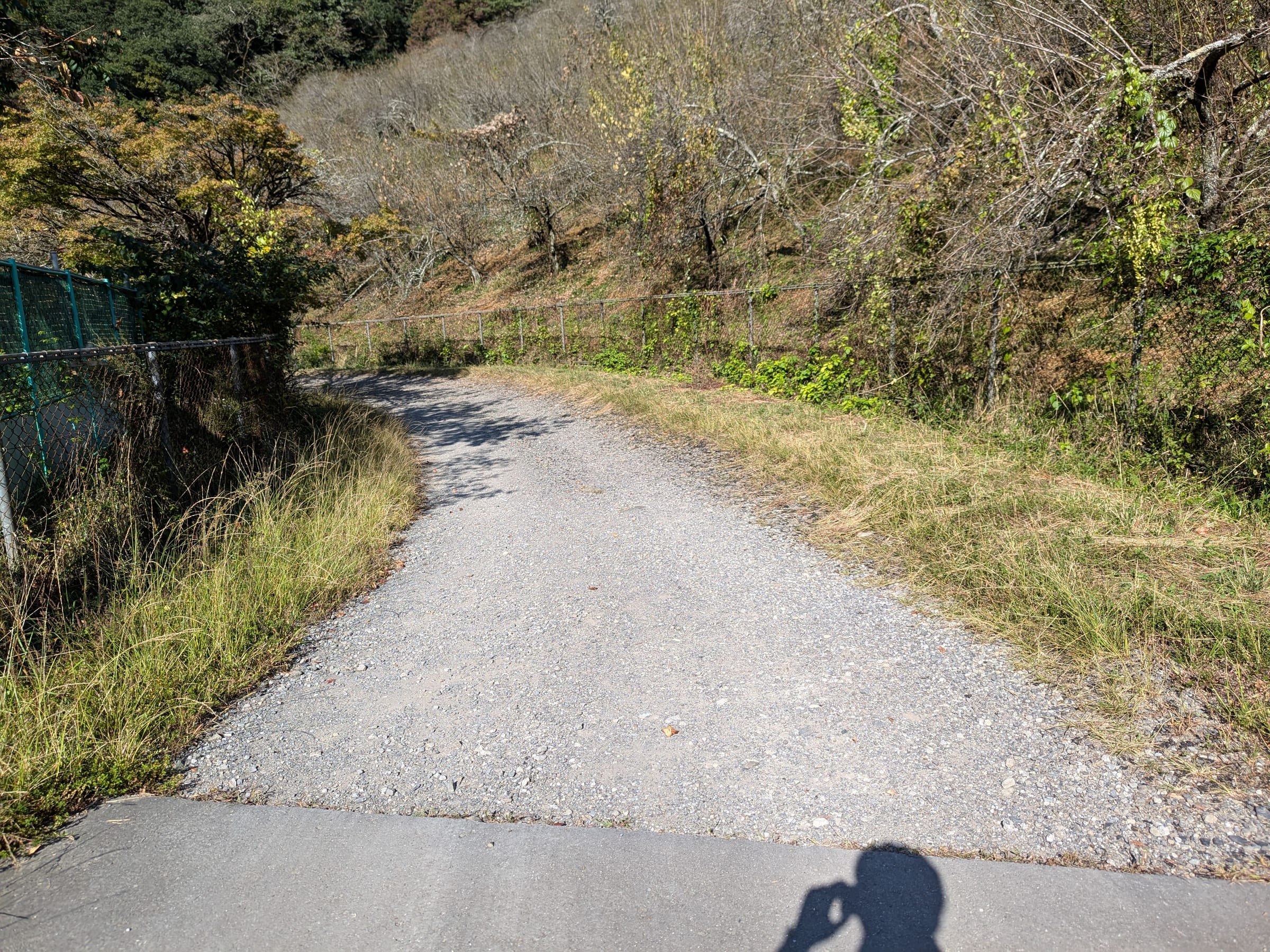 PXL_20261012_135014859.jpg