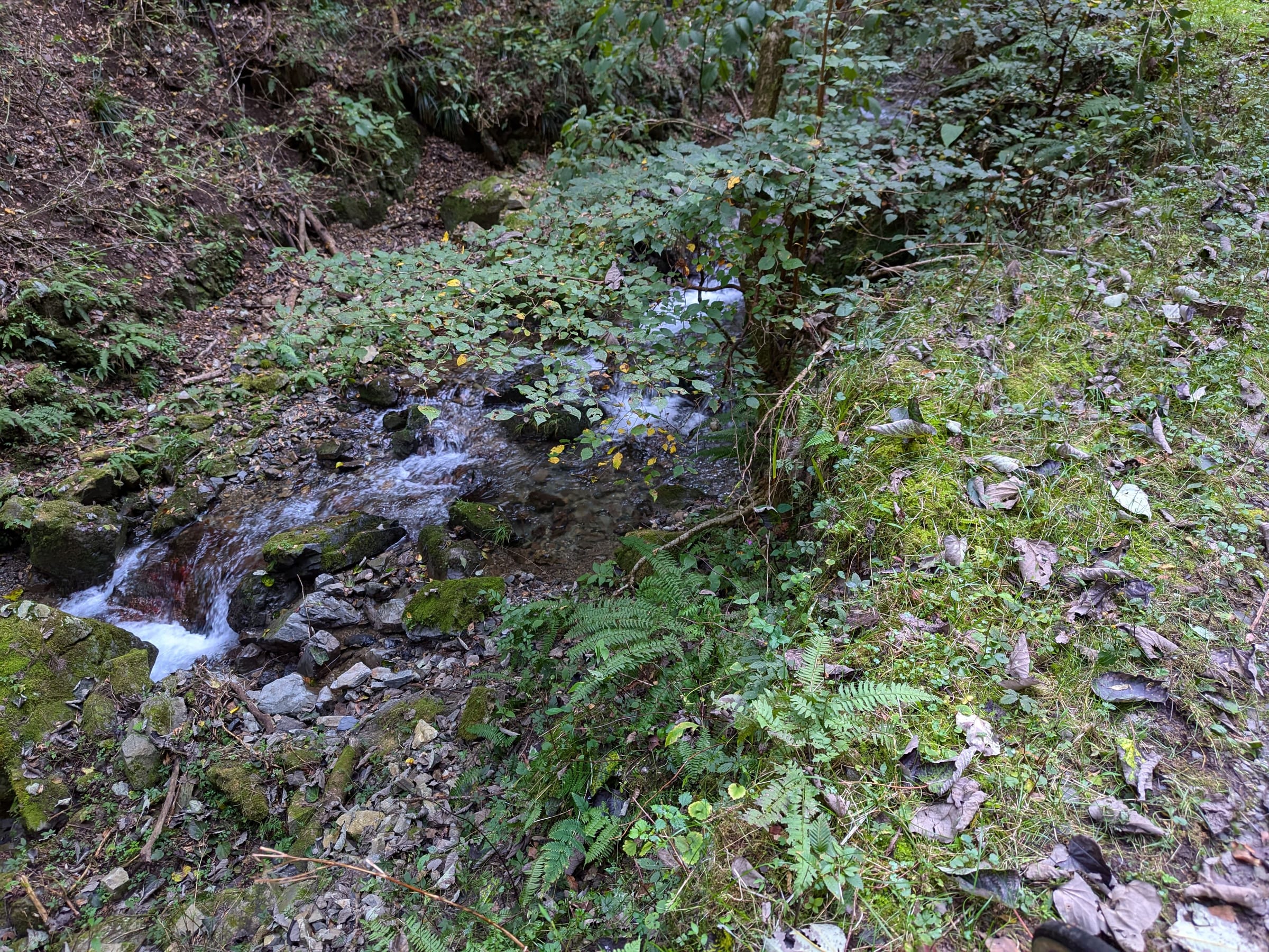 PXL_20261012_142424027.jpg