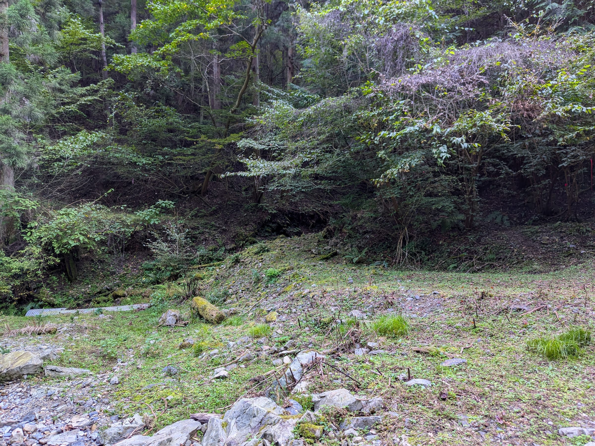 PXL_20261012_144318768.jpg