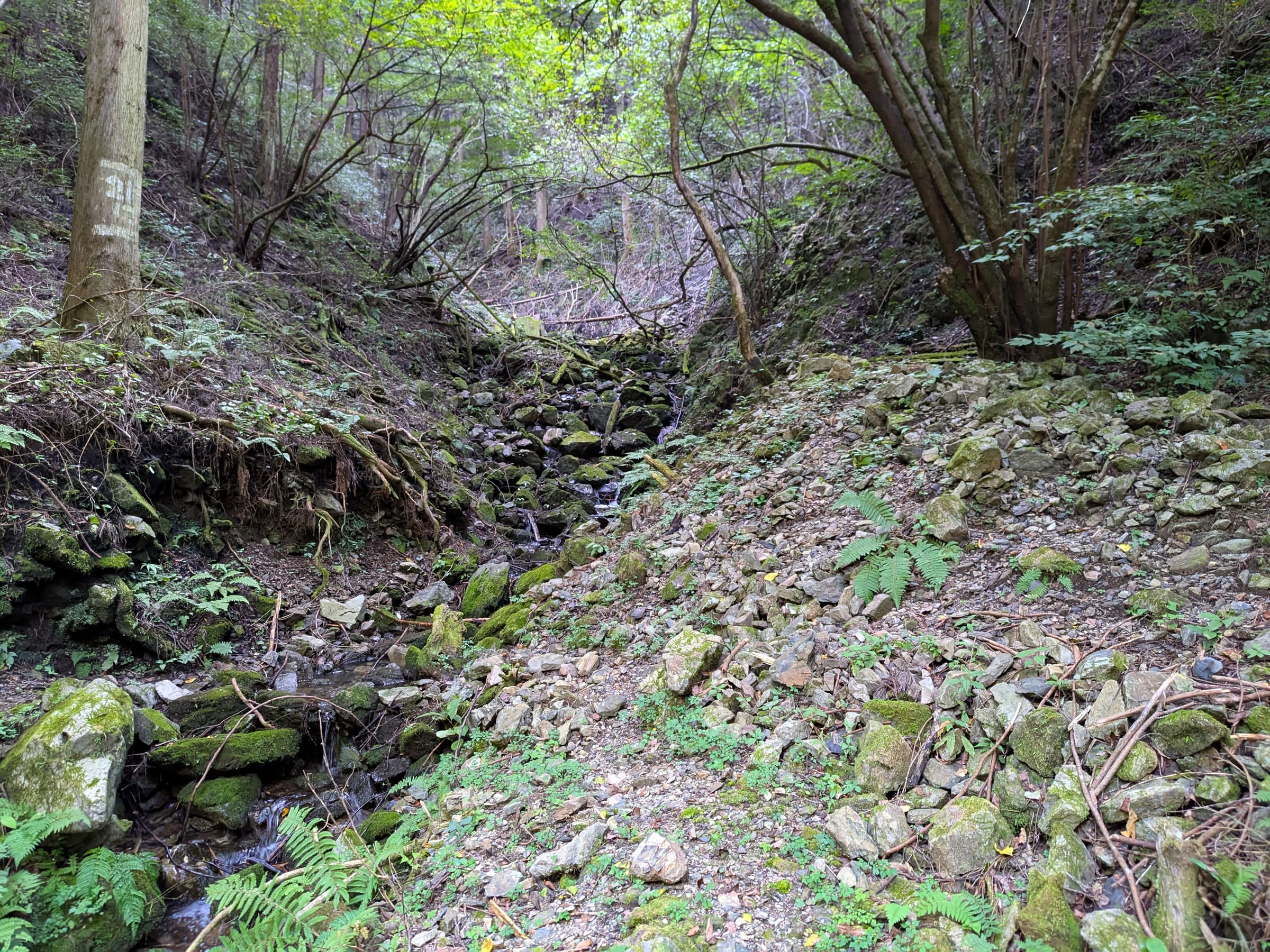 PXL_20261012_144514681.jpg