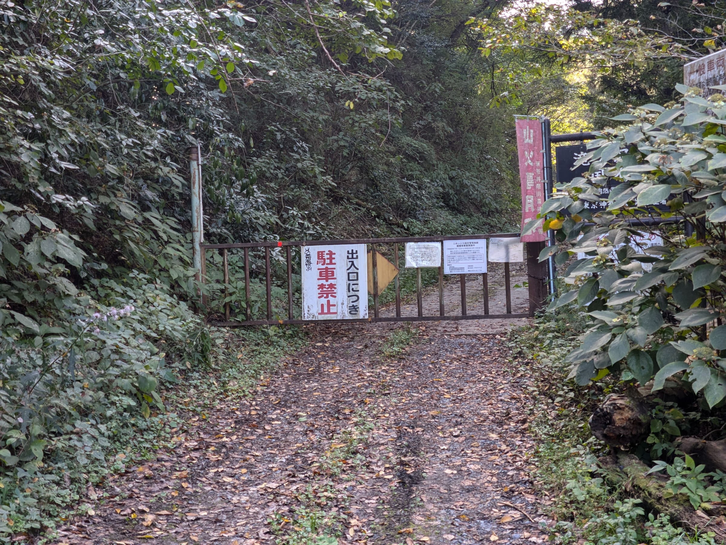 PXL_20261017_132924526.jpg