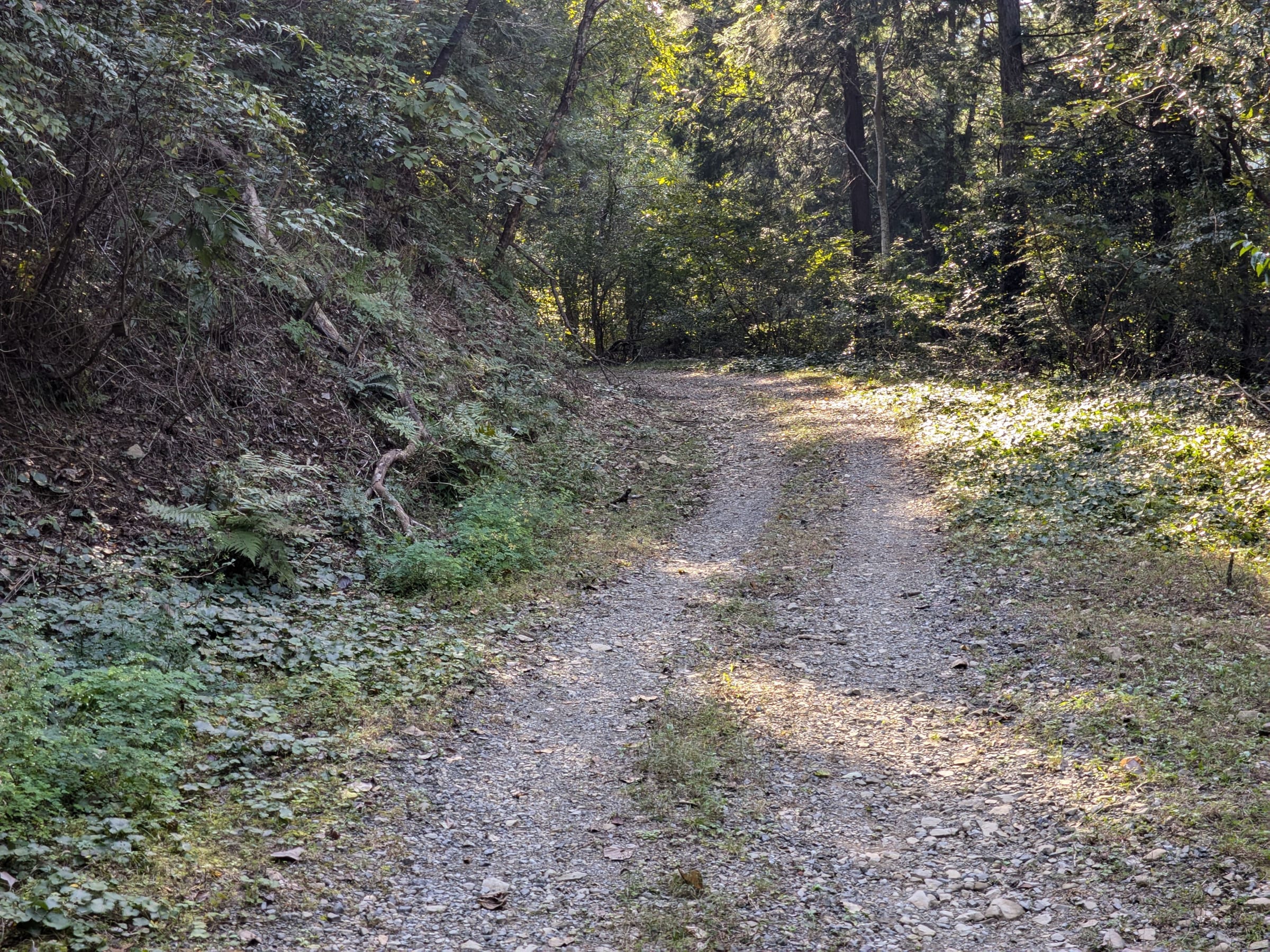 PXL_20261017_133411604.jpg