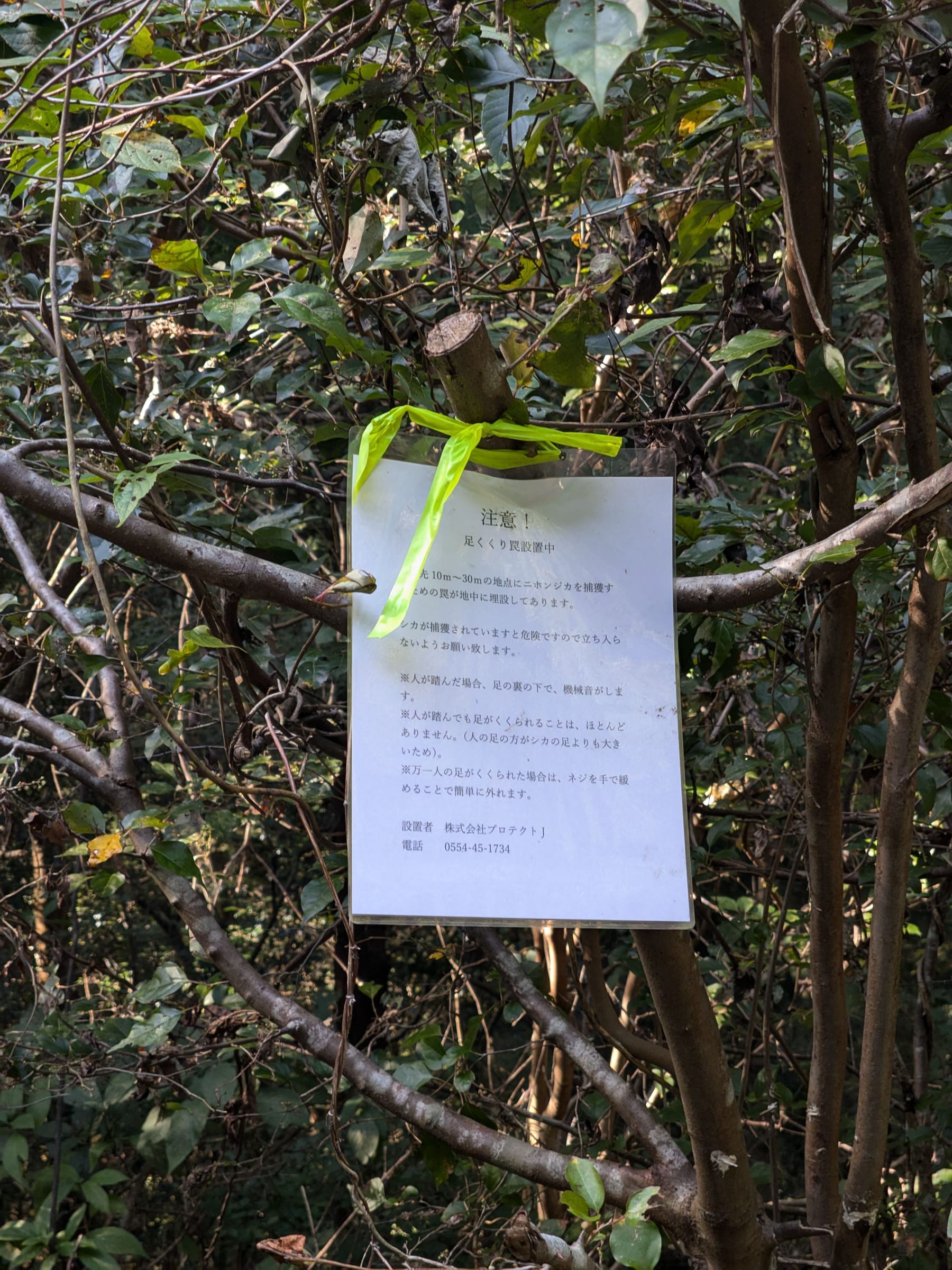 PXL_20261017_133639345.jpg