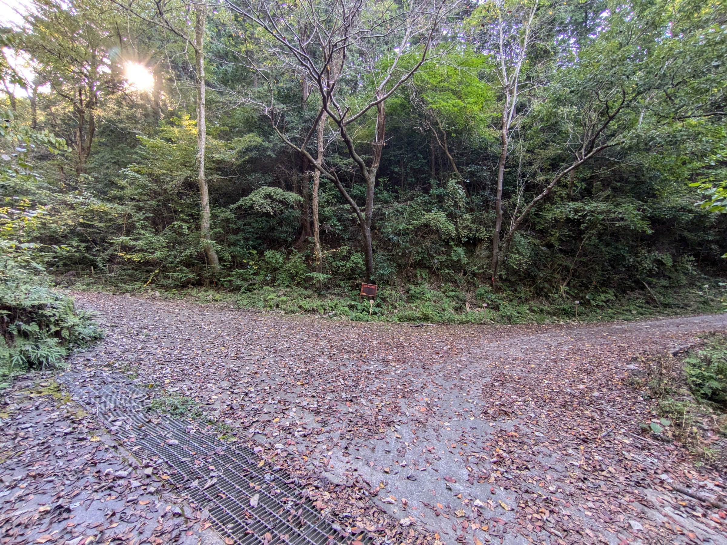 PXL_20261017_134755842.jpg