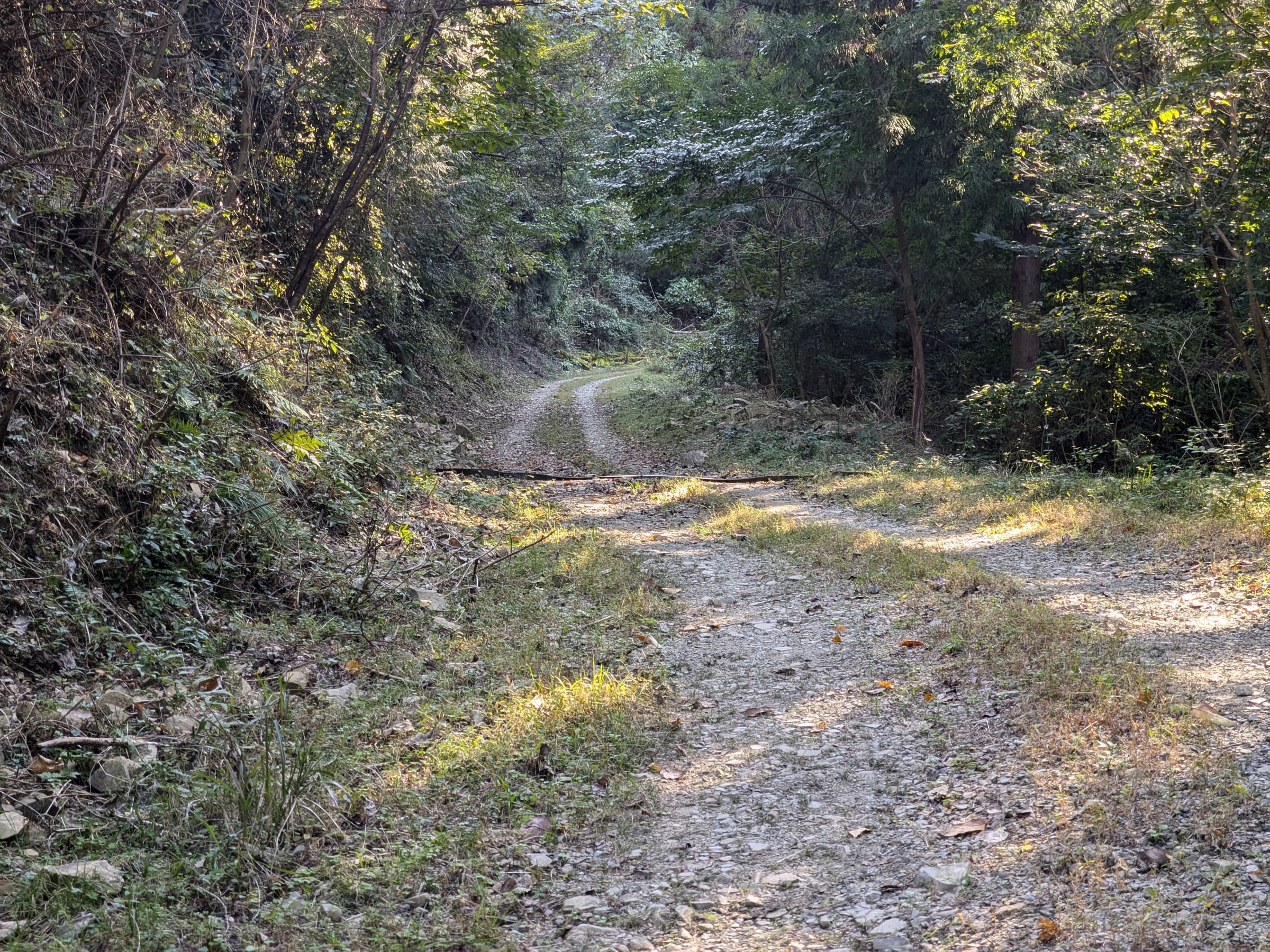 PXL_20261017_135608642.jpg