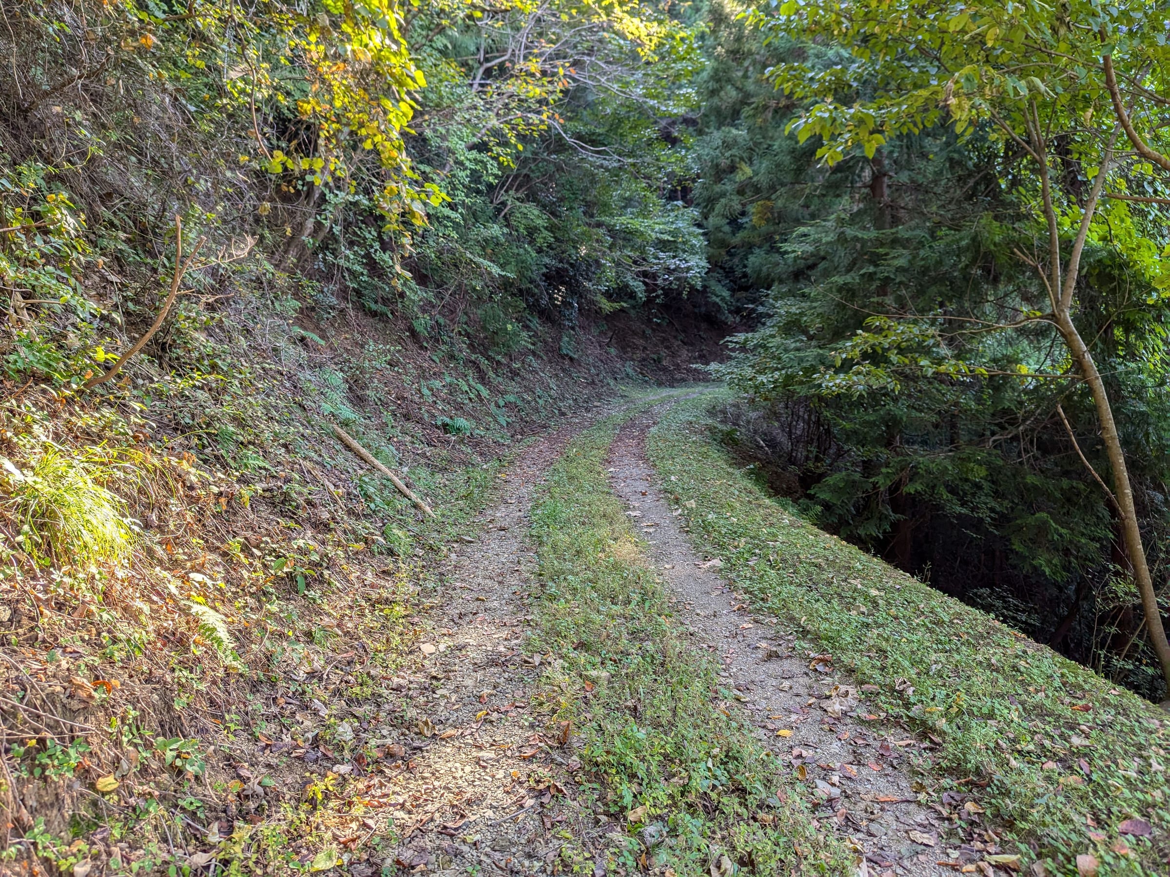PXL_20261017_141647367.jpg