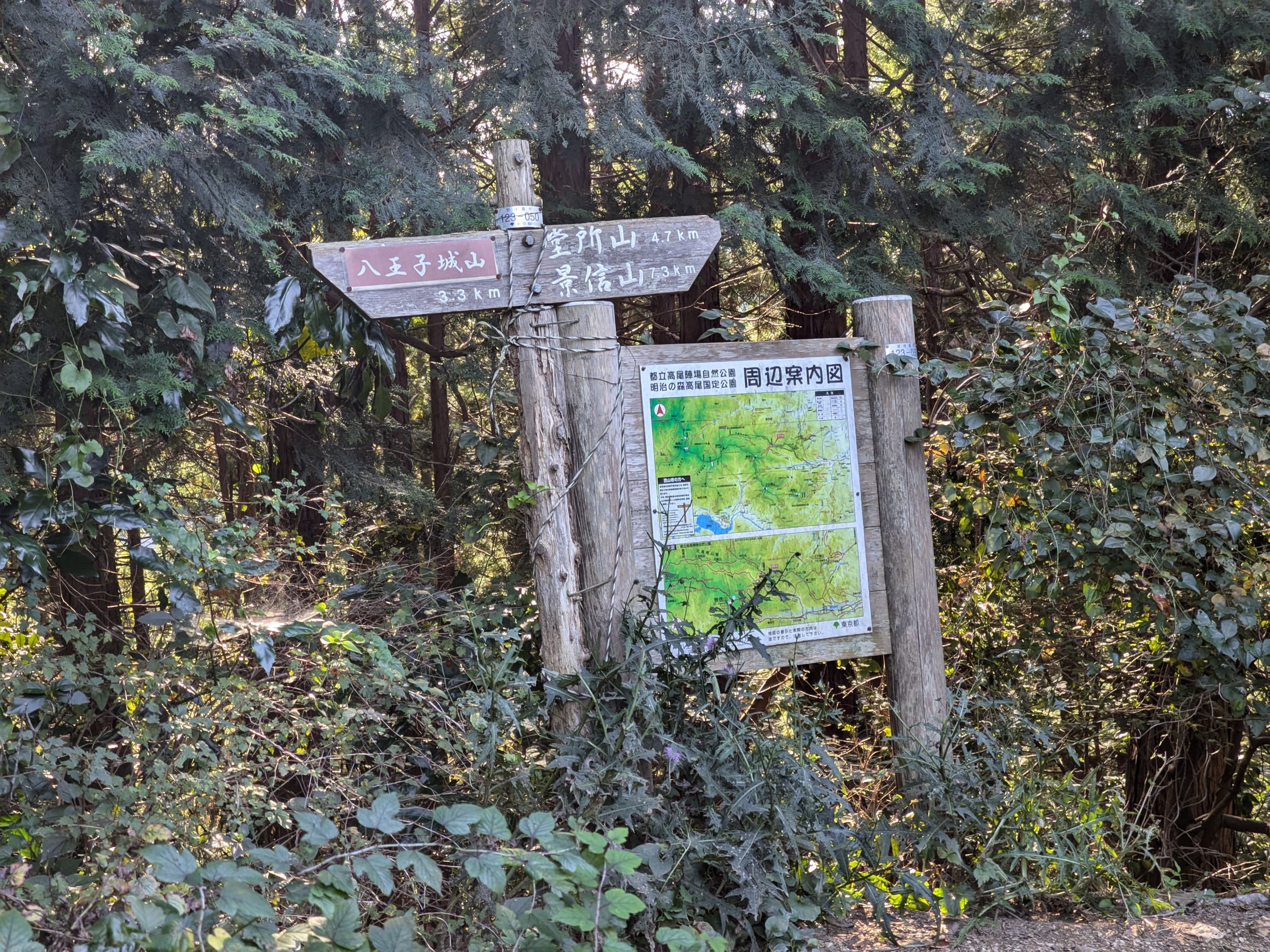 PXL_20261017_141821920.jpg