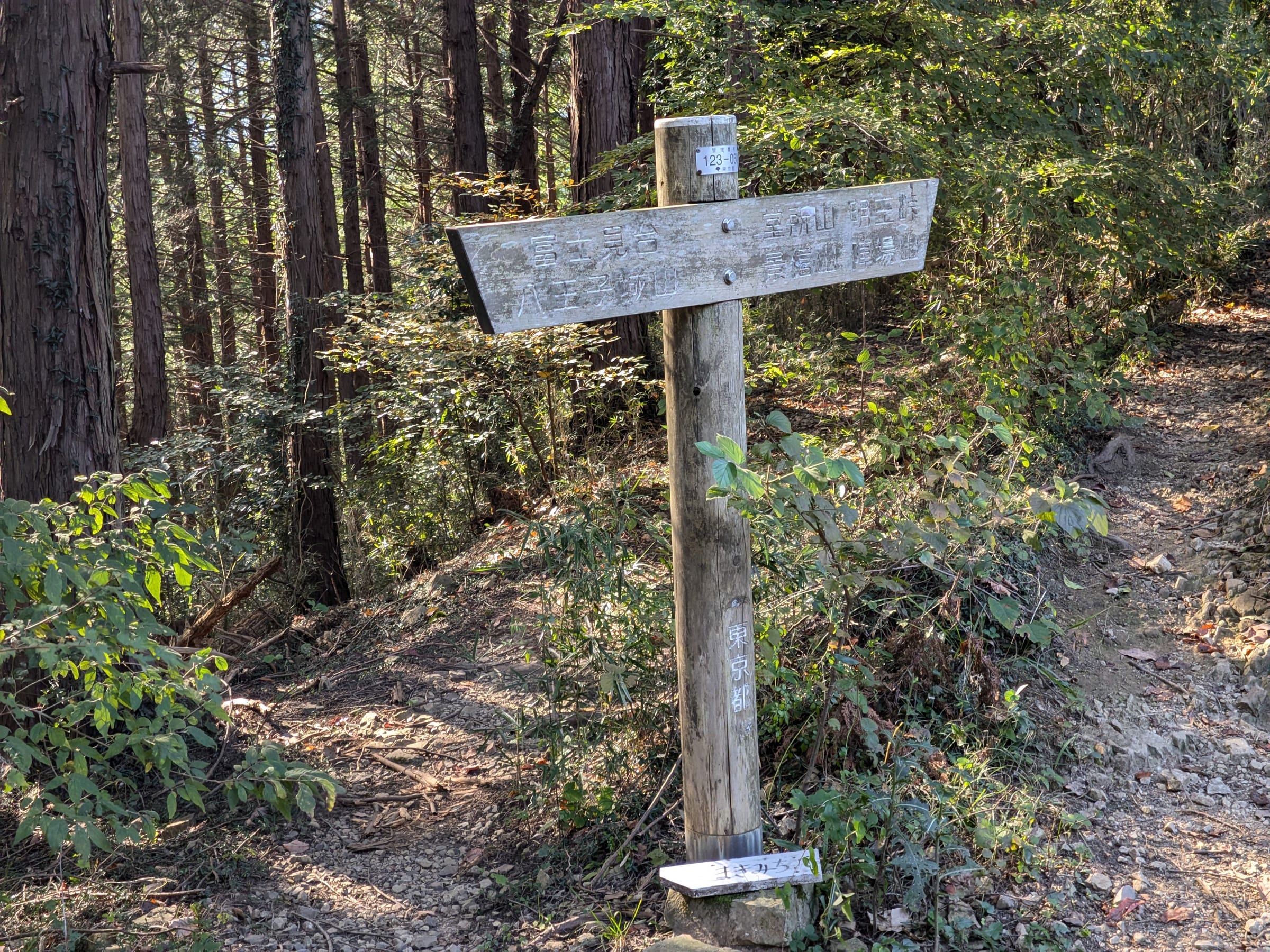 PXL_20261017_141839216.jpg