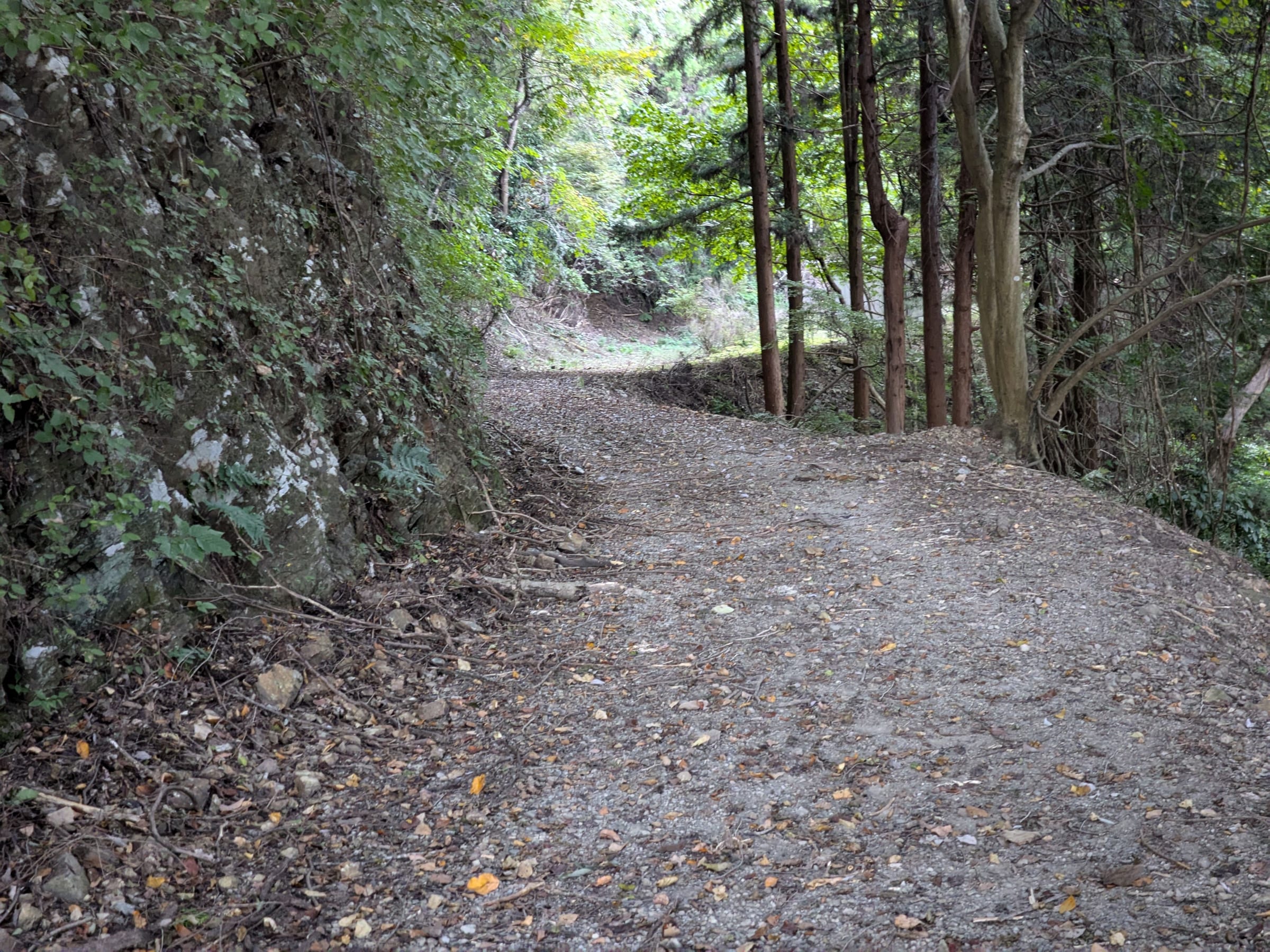 PXL_20261017_142351630.jpg