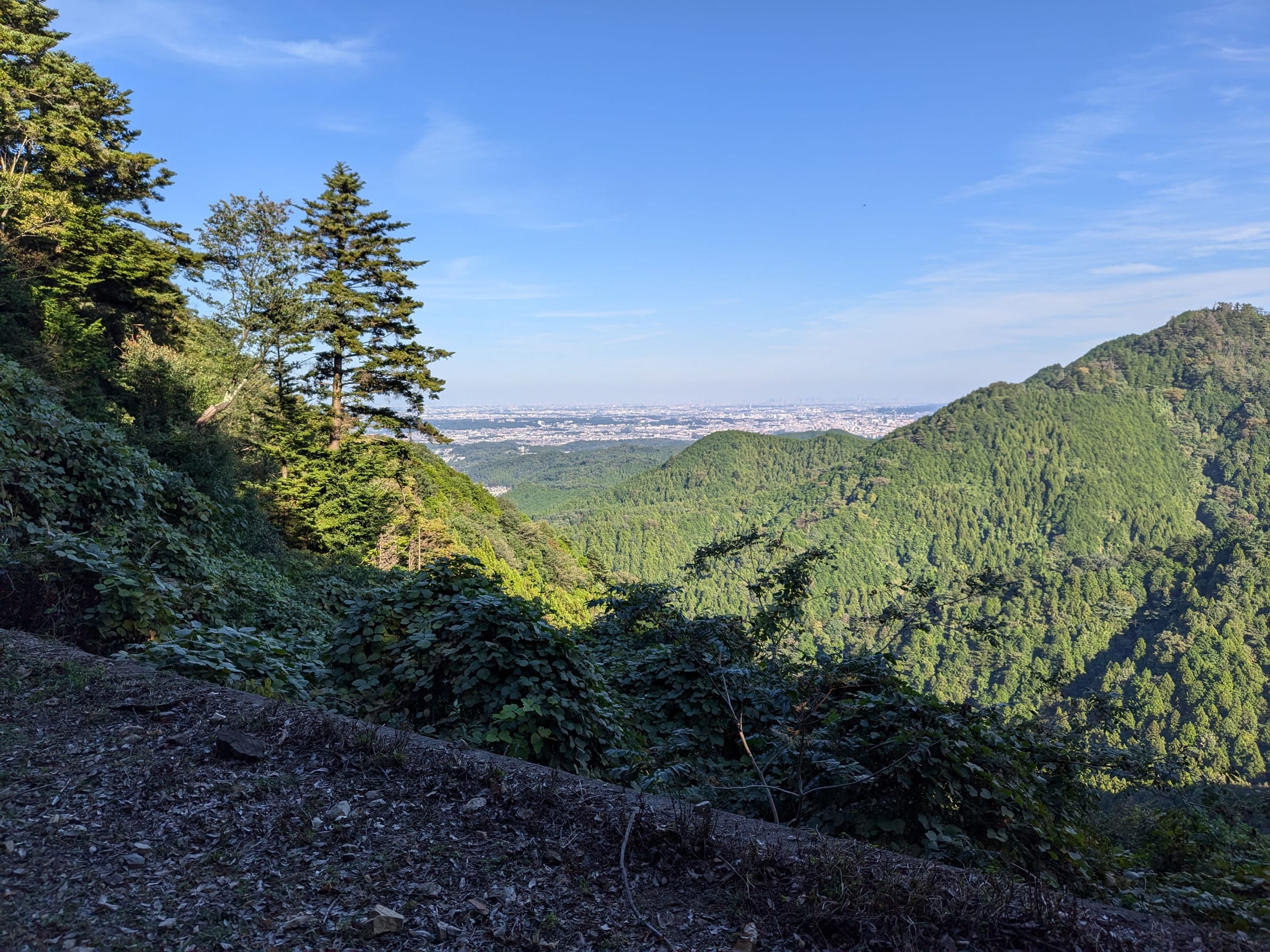 PXL_20261017_142625119.jpg