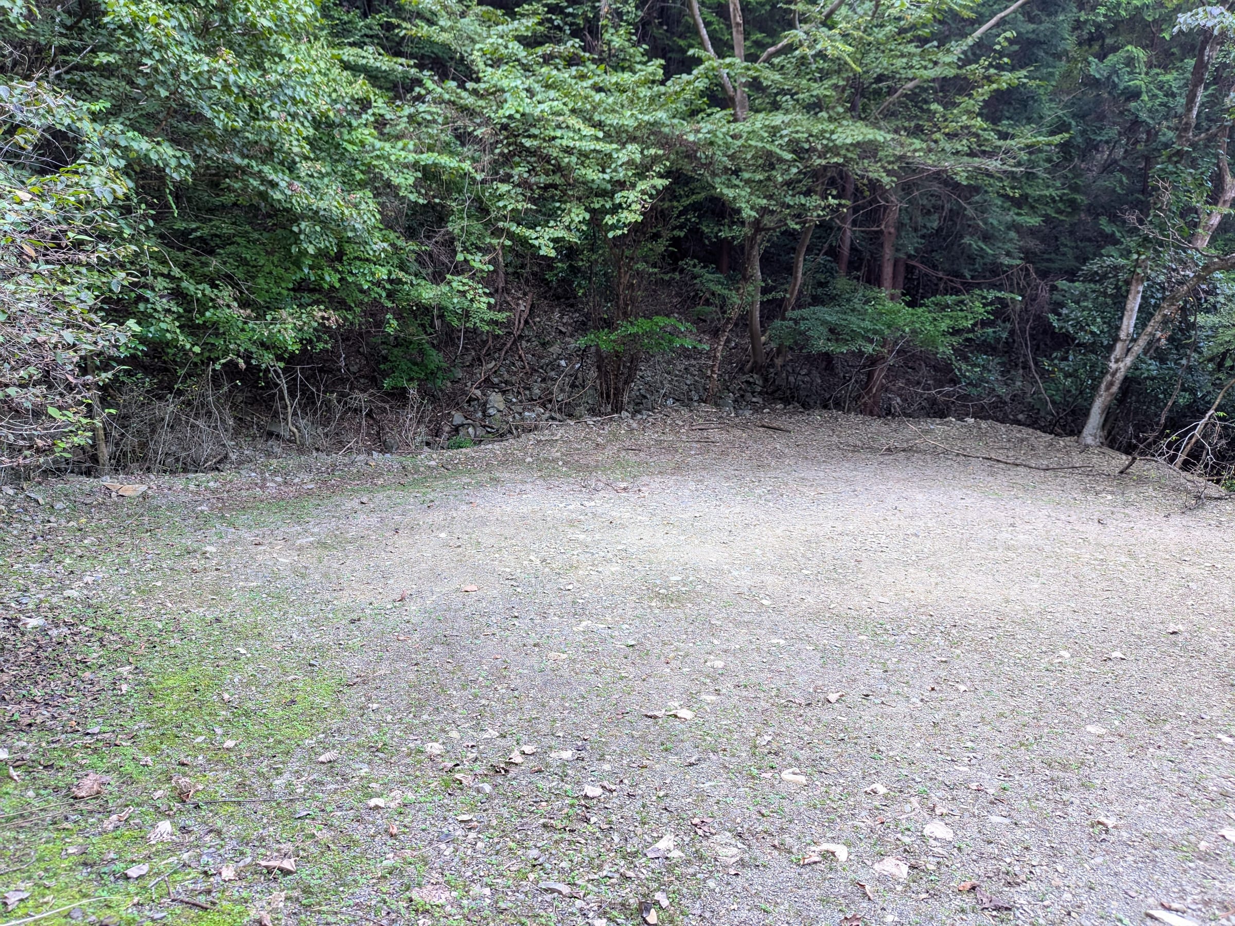 PXL_20261017_143410222.jpg