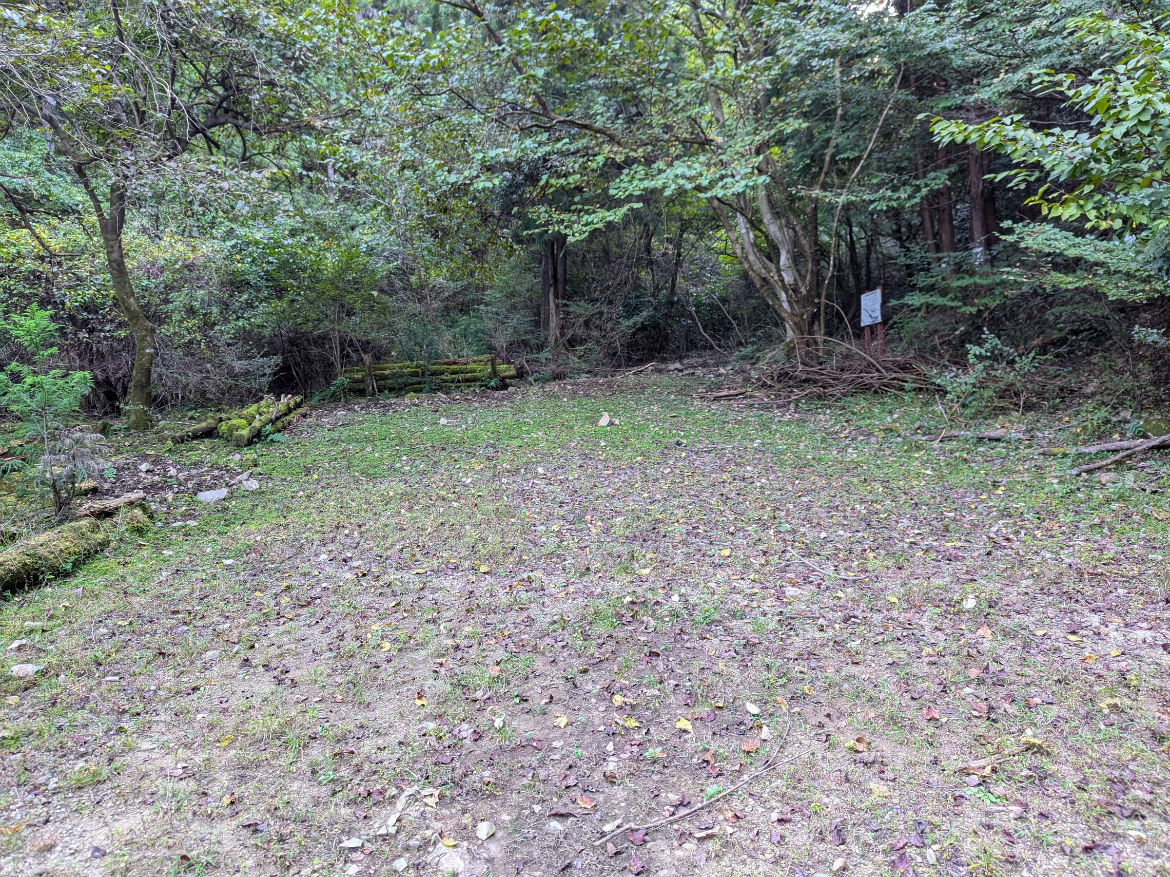 PXL_20261017_150900850.jpg