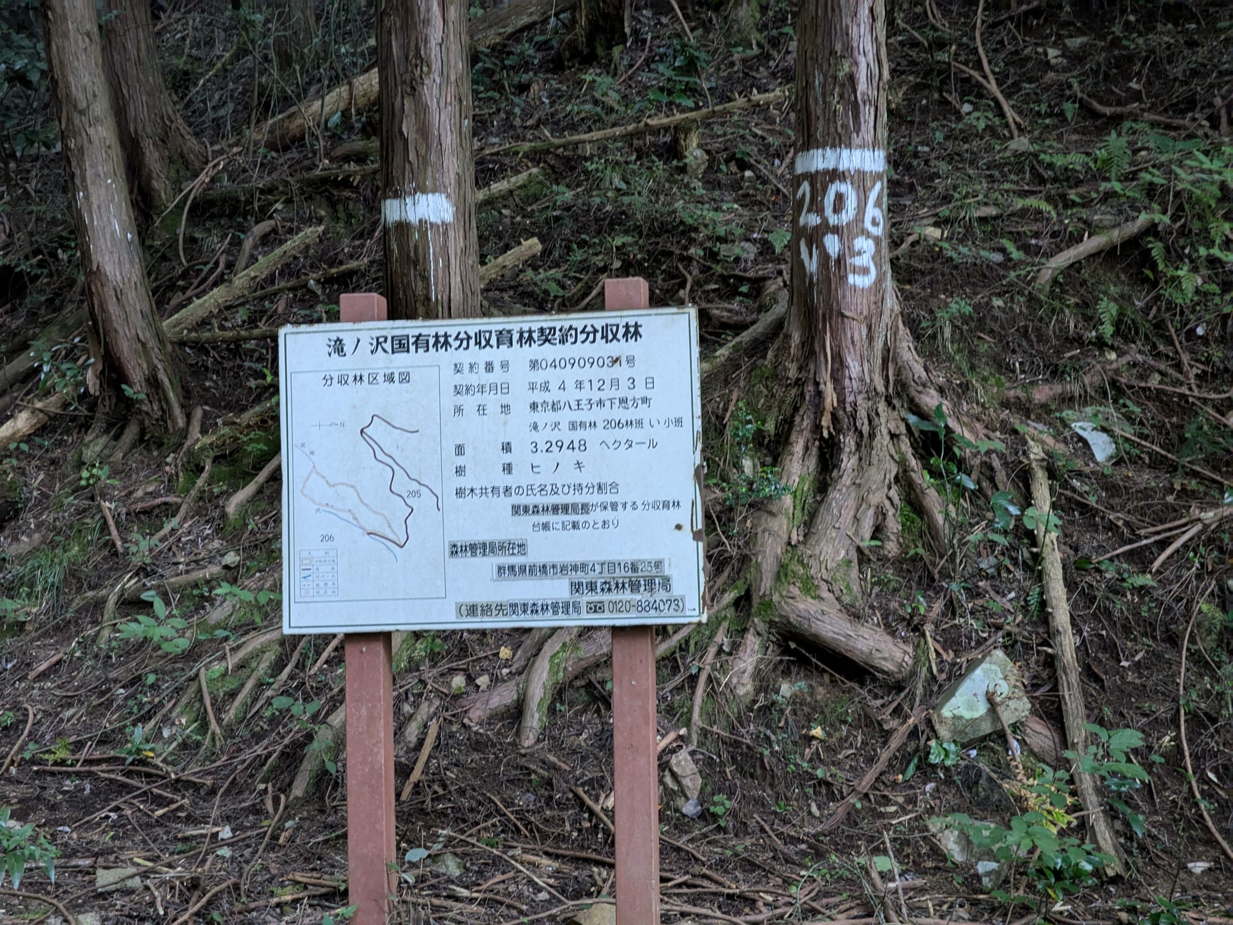 PXL_20261017_150930105.jpg