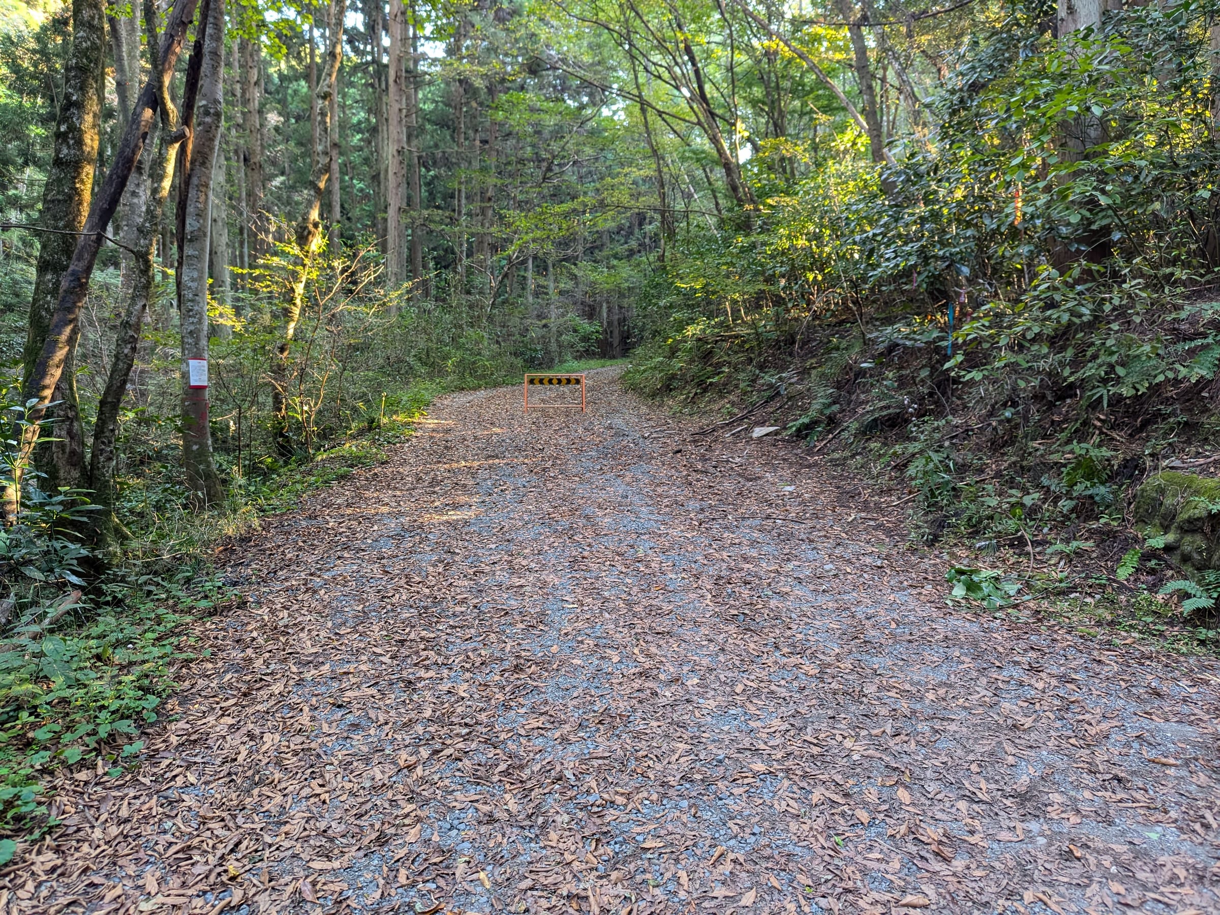 PXL_20261017_153210484.jpg