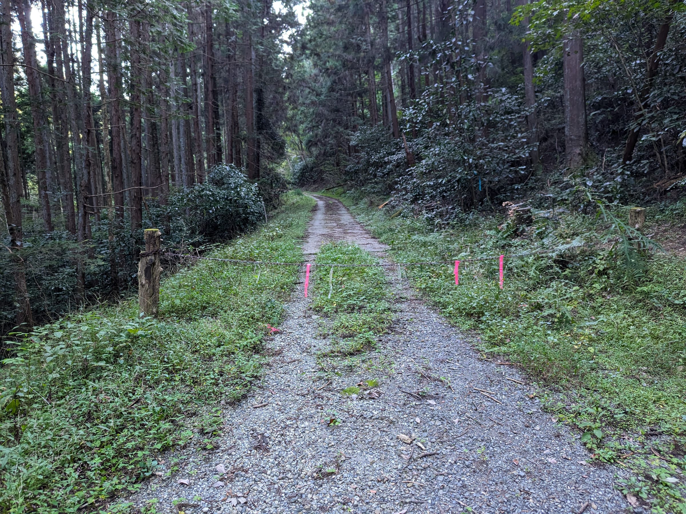 PXL_20261017_153504058.jpg