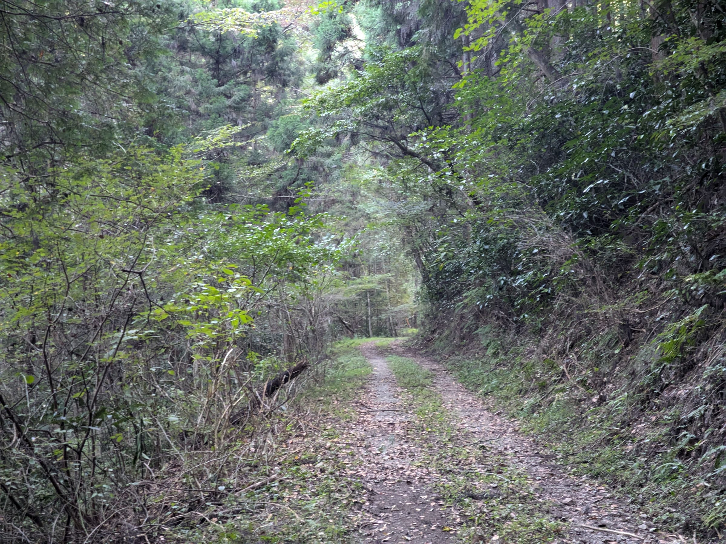 PXL_20261017_153756331.jpg