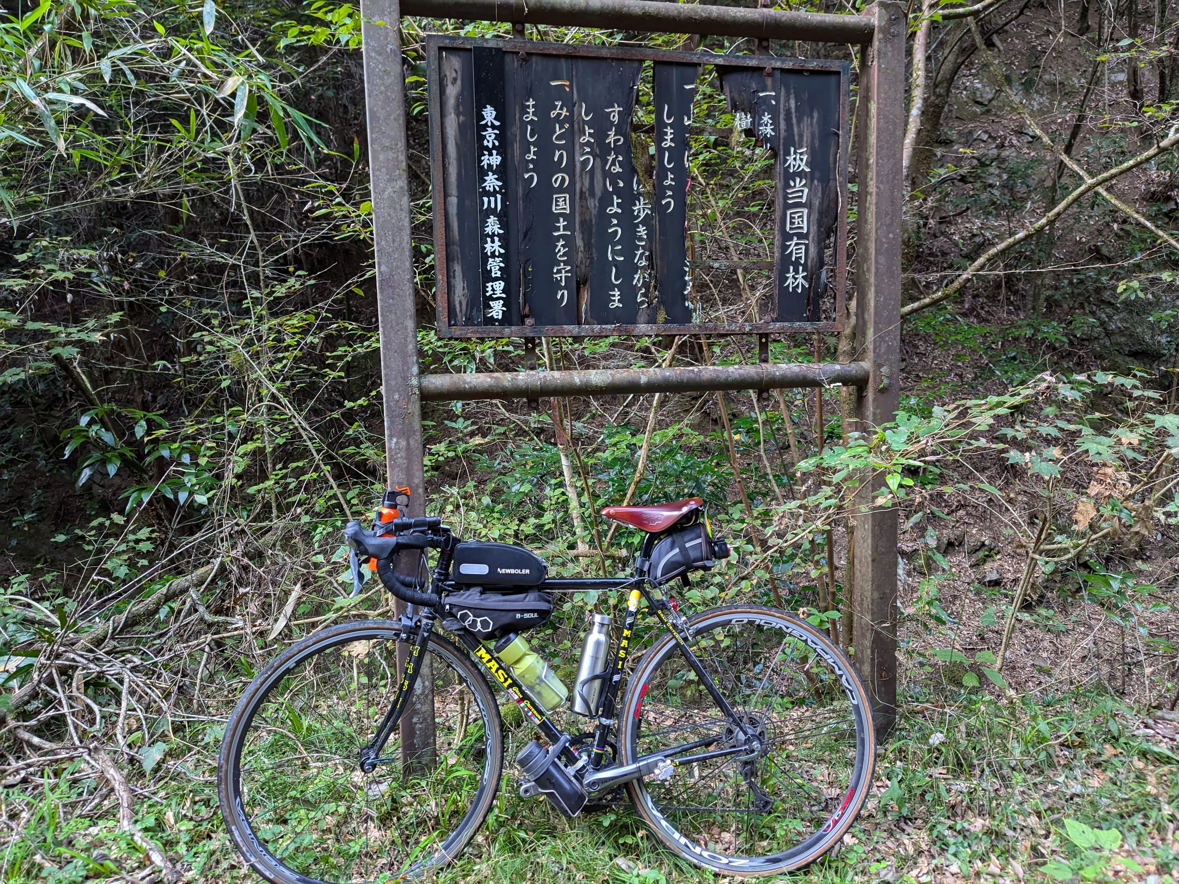 PXL_20261017_154012969.jpg