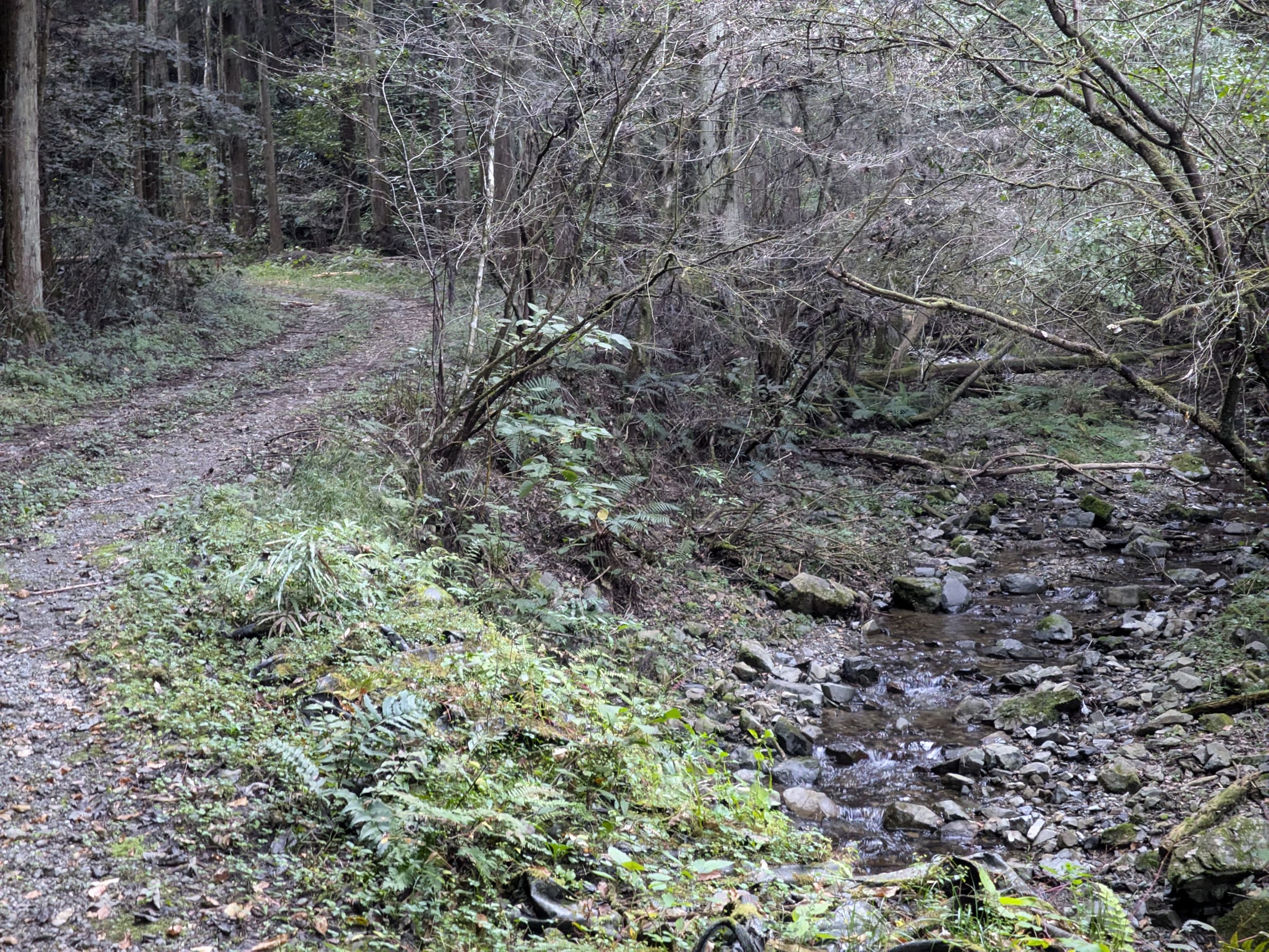 PXL_20261017_154059722.jpg
