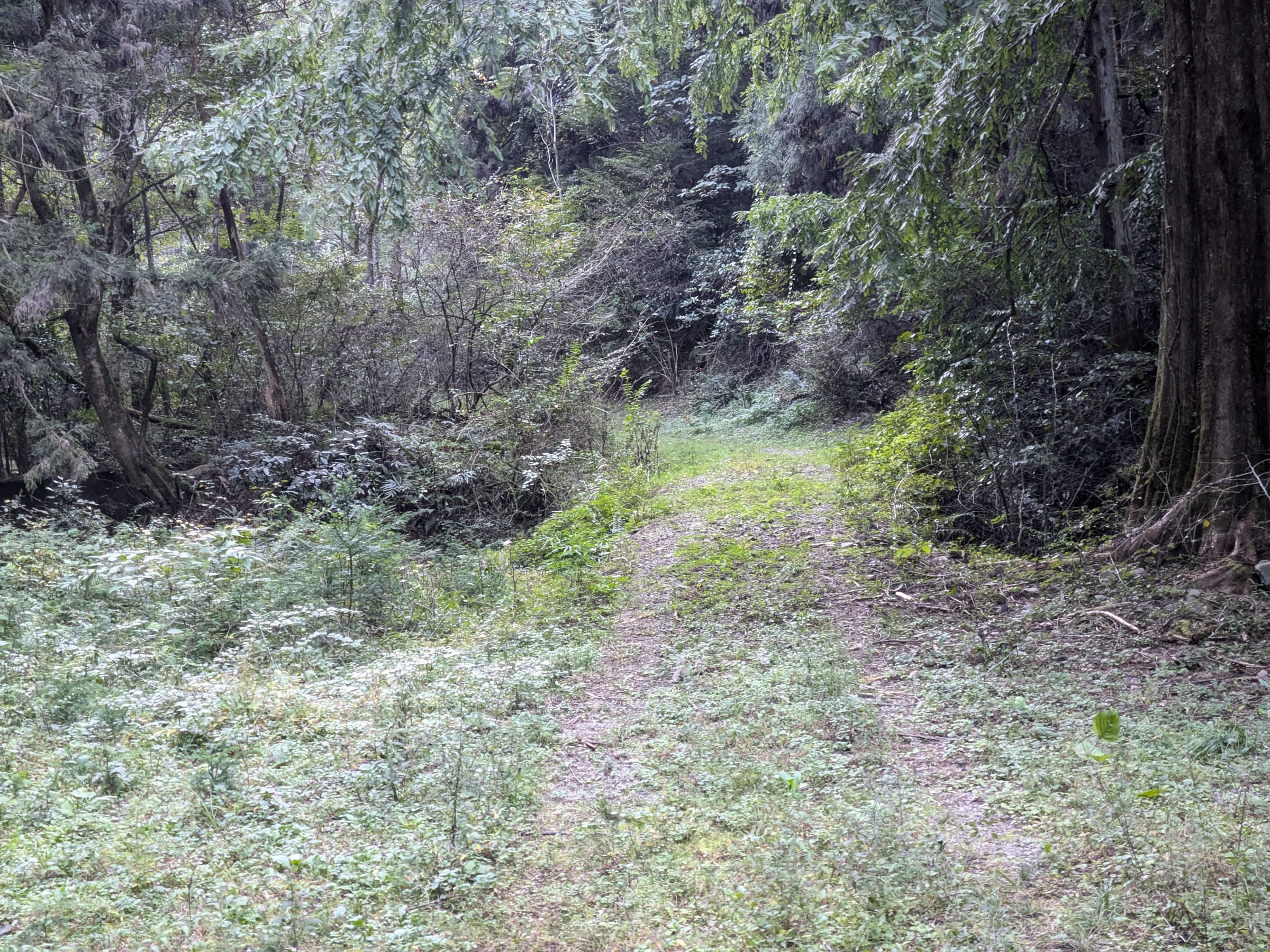 PXL_20261017_154243271.jpg